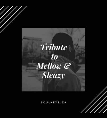 Tribute To Mellow & Sleazy  Image