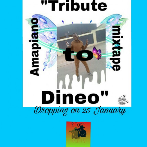 tribute to dineo Amapiano mixtape Image